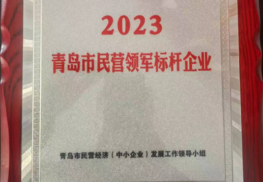 青島市民營領軍標桿企業