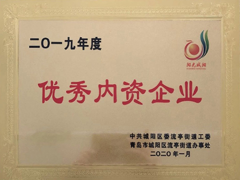 2019年度優秀內資企業